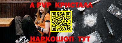 прущие грибы Тверь