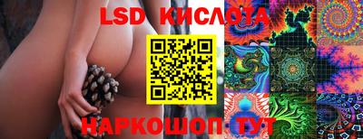 прущие грибы Тверь
