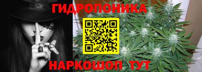 прущие грибы Тверь