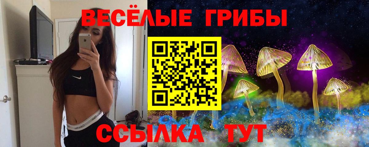 Псилоцибиновые грибы мицелий  Вход с VPN  продажа наркотиков  Новотроицк 